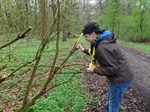 Aktionstag Wald in der SE-Stufe