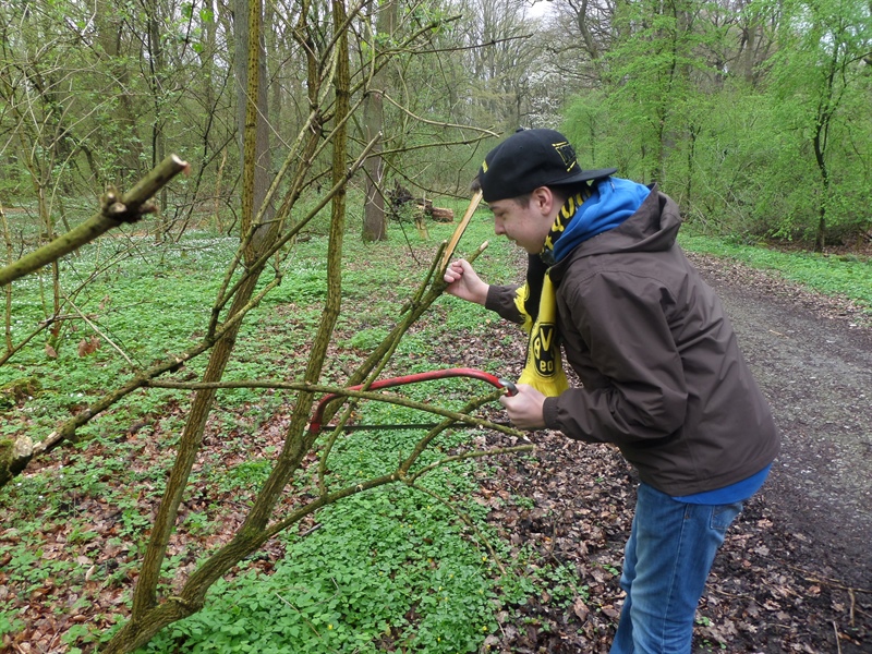 Aktionstag Wald in der SE-Stufe