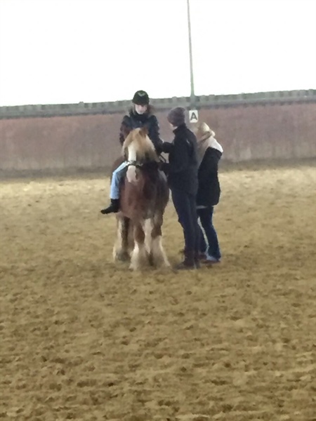 Sarah und Nina auf dem Reiterhof