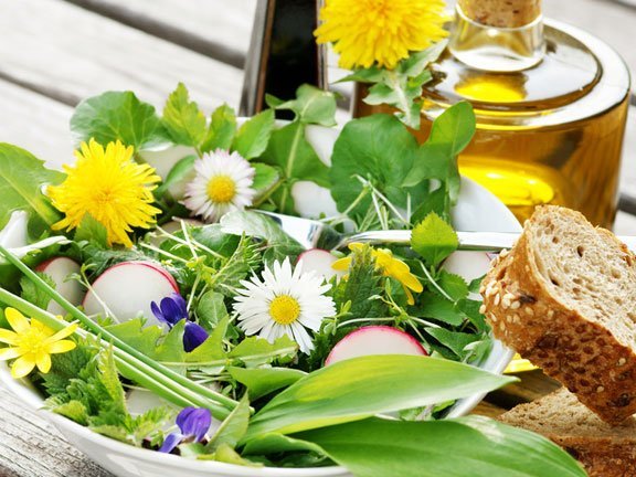 Im Frühjahr deckt der Wald für uns den Tisch