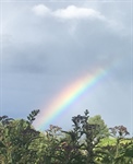 Der Regenbogen als Zeichen für Vielfalt und Toleranz