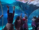 Die P5 besucht das SEA LIFE Oberhausen