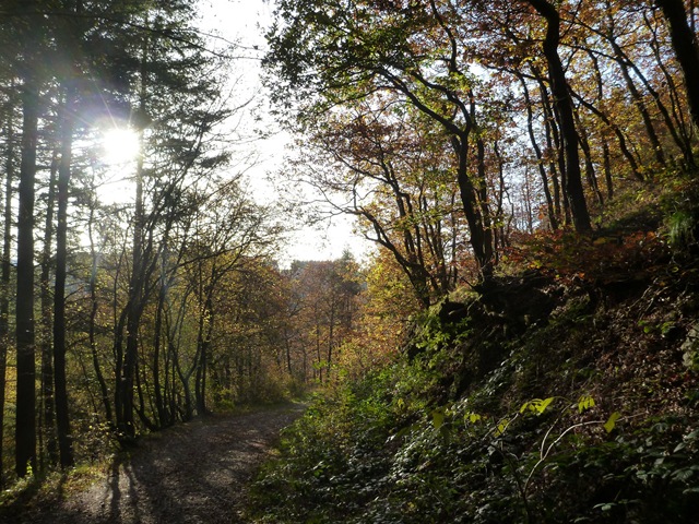 Naturkundefreizeit in Manderscheid