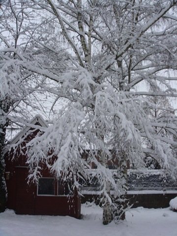 “Winterwunderland” – Tag der Sinne am 18.01.2013