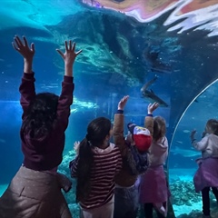 Die P5 besucht das SEA LIFE Oberhausen