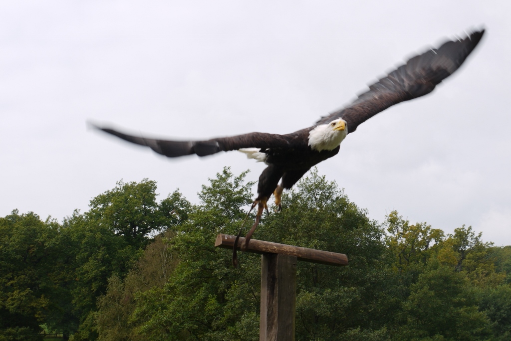 Naturkundefreizeit